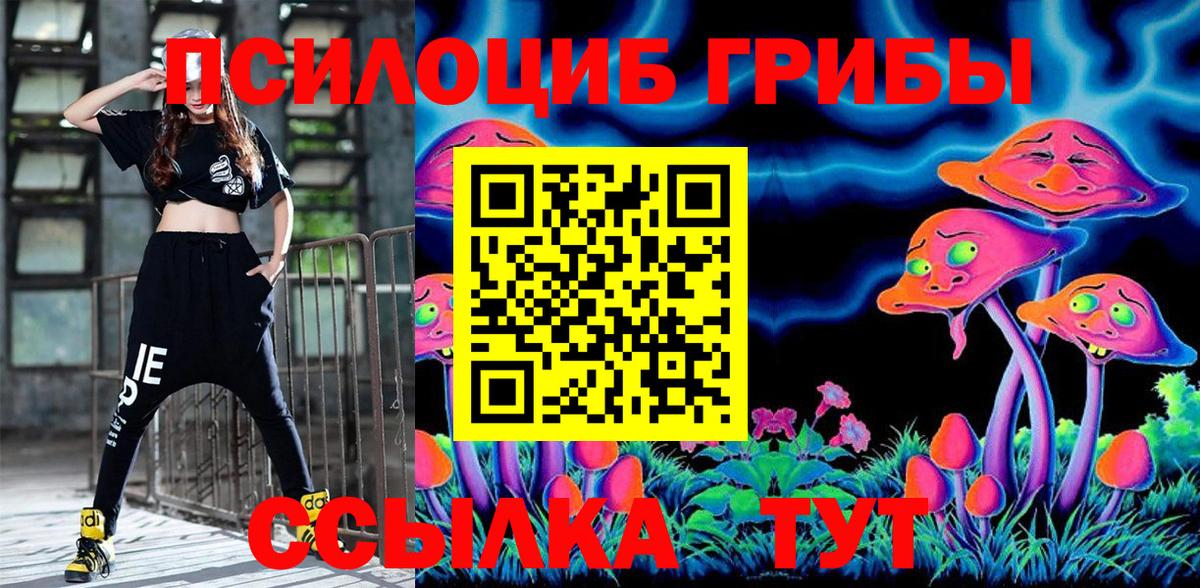 Галлюциногенные грибы Psilocybe Мурино