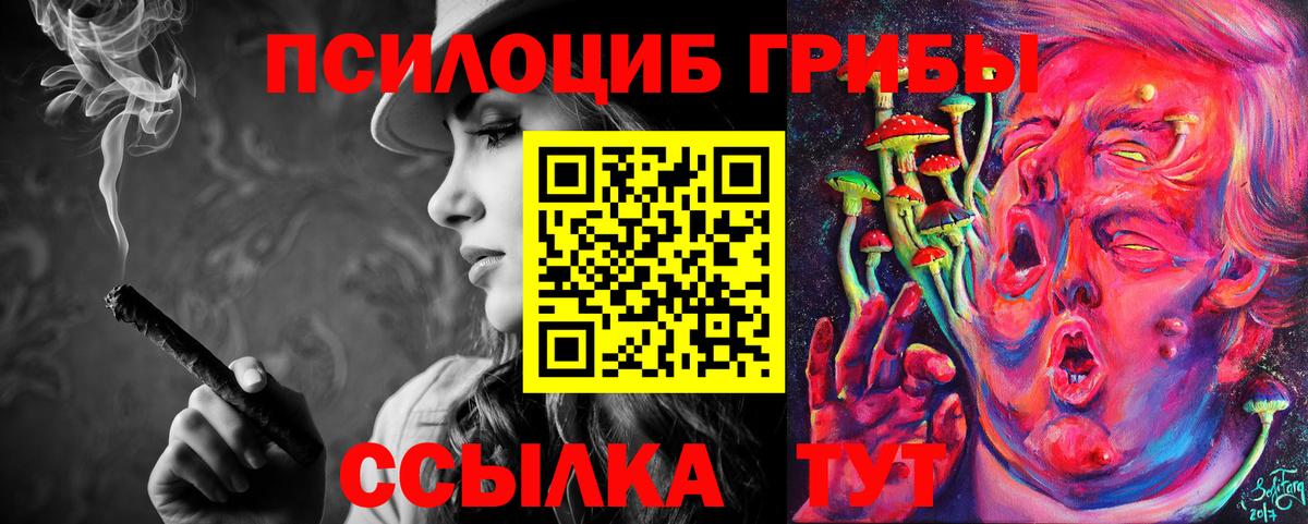 Псилоцибиновые грибы Psilocybe  Галлюциногенные грибы прущие грибы  Вход с VPN  Мурино 